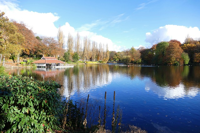 walsall-arboretum Serene lake view at Walsall Arboretum surrounded by trees